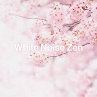 Pink Noise Water 40-1000 - Best Noise