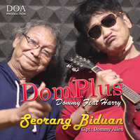 Seorang Biduan