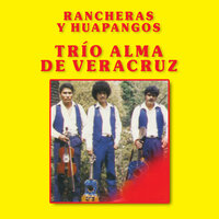 El Paseador - Trío Alma De Veracruz