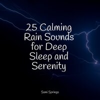 25 Calming Rain Sounds for Deep Sleep and Serenity