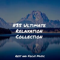 #35 Ultimate Relaxation Collection
