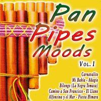 Pan Pipes Moods Vol. 1