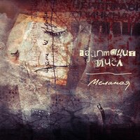Бора-бора - Адаптация Пчёл