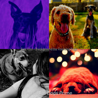 Jazz Trio - Background for Training Dogs