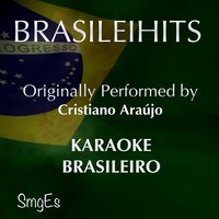 BrasileiHits