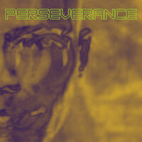 Perseverance