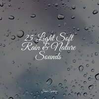 25 Light Soft Rain & Nature Sounds