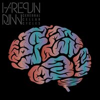 Idiosyncratic Inflections of Improvisational Idiophones - Harlequin Djinn
