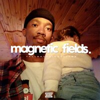 Magnetic Fields