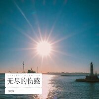 无尽的伤感 - DJ尼保