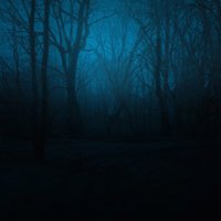 Primitive Elegy