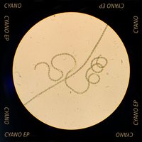 You - Cyano