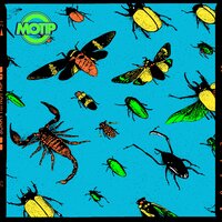 Through the Night - MOTIP