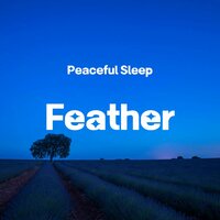Feather