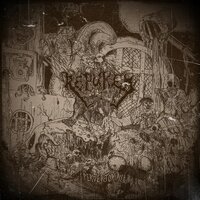 Toxic Constipation - Repuked