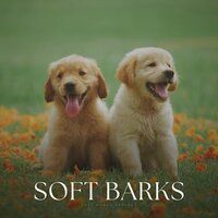 Soft Barks