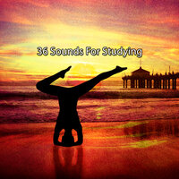 36 Sounds For Studying
