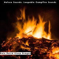 Nature Sounds: Loopable Campfire Sounds