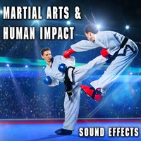 Martial Arts & Human Impact Sound Effects