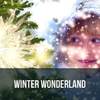 Winter Wonderland