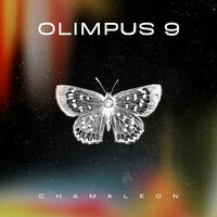 Camels Came - Olimpus 9