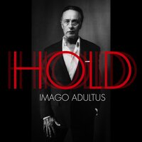 Ornament und Verbrechen - HOLD (Wilfried Hochholdinger)