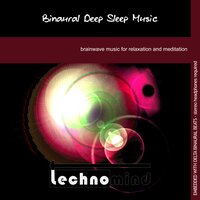 Delta Binaural Vision - Technomind