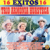 16 Exitos