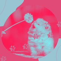 Музыка - Дрессировка собак