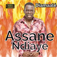 Yaram Arts - Assane Ndiaye