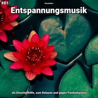 Entspannungsmusik pt. 71 - Einschlafen
