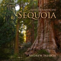 American Soundscapes: Sequoia