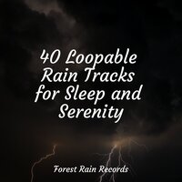 40 Loopable Rain Tracks for Sleep and Serenity