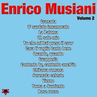 Enrico Musiani, Vol. 2