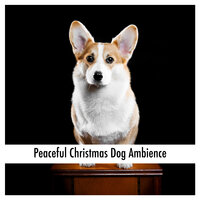 Pet Times To Remember - Relaxing Dog Music