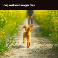 Long Walks and Waggy Tails
