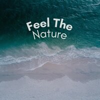 Feel the Nature