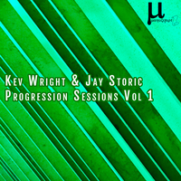 Vicious Disco - Kev Wright & Jay Storic & Stevie Reid
