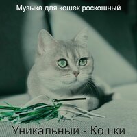Уникальный - Кошки