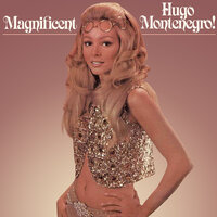 Magnificent! The Sound of the Hugo Montenegro Strings