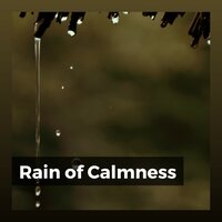 Rain of Calmness
