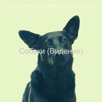 Собаки (Видение)