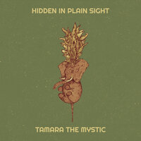 Hidden in Plain Sight