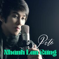 Nhánh Lan Rừng