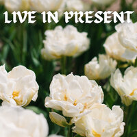 Live in Present