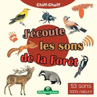 J'écoute les sons de la forêt