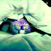 Видения - Отдыхающие кошки