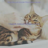 Гладкий; плавный (Спящие кошки)