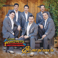 La Flor De Mis Primeros Años - Conjunto Primavera