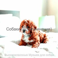 Собаки (Воспоминания)
